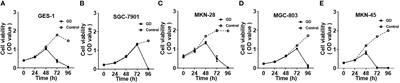 SIRT1 mediated gastric cancer progression under glucose deprivation through the FoxO1-Rab7-autophagy axis